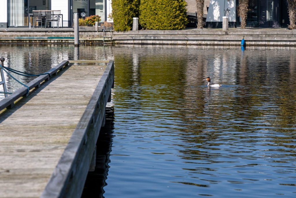 Houten steigers langs waterkant met kademuur en rustig wateroppervlak in havengebied